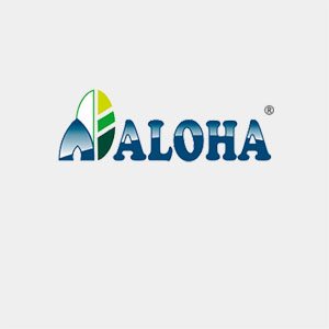 Aloha Brain Development Program